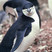 Chinstrap Penguin